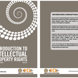 Introduciton to Intellectual Property Rights