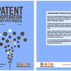 Patent Cooperation Treaty (PCT) Process